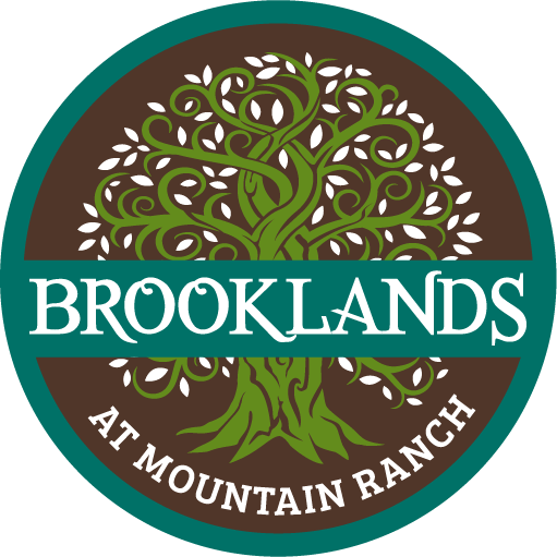 Brooklands logo